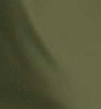 POLYESTER PTFE WATERPROOF/BREATHABLE TRILAMINATE (NON-FLAME RETARDANT(SAGE GREEN)